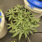 Auto Orange Bud Cannabis-Samen Kaufen