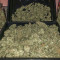 Candy Kush Auto (Auto Seeds) Cannabis-Samen