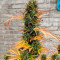 Auto Skywalker Haze Cannabis-Samen Kaufen