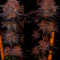 Ayahuasca Purple Cannabis-Samen Kaufen