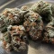 Biscotti Auto (Green House Seeds)