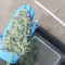 Bruce Banner Auto Cannabis-Samen Kaufen