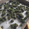 Blue Cheese Cannabis-Samen Kaufen