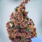 Keepers OG Autoflower feminisierte Samen (Seedkeepers)