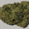 Kaufe Blackberry Moonrocks Samen feminisiert von AlphaFem Seeds