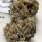 Gorilla Cookies Fast Flowering (Fast Buds) Cannabis-Samen zu verkaufen