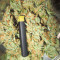 Delicious Cookies feminisierte Samen (Delicious Seeds)