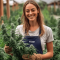 Apple Betty Samen feminisiert (Herbies Seeds)