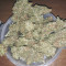 Amnesia #7 (Exotic Seeds) Cannabis-Samen zu verkaufen