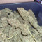Kaufe Original Cinderella Auto Samen feminisiert von Fast Buds