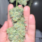 Gelato Auto Cannabis-Samen Kaufen