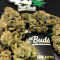GG#4 Original Glue Auto Cannabis-Samen Kaufen