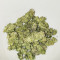 Dogstar Dawg (Big Head Seeds) Cannabis-Samen