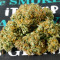 Exodus Cheese Auto CBD (GHS) Cannabis-Samen
