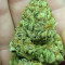 Wedding Glue Auto (Fast Buds) Cannabis-Samen zu verkaufen