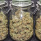 Original Auto Cheese (Fast Buds) Cannabis-Samen