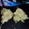 Auto White Widow Cannabis-Samen Kaufen