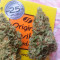 Wedding Cake Auto (Original Sensible Seeds) Cannabis-Samen zu verkaufen