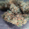 Sweet Zombie (Expert Seeds) Cannabis-Samen