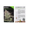 Super Diesel (Seedmakers Seeds) Cannabis-Samen