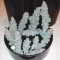 Purple Punch (Barney's Farm) Cannabis-Samen zu verkaufen