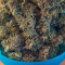 Original Auto BubbleGum (Fast Buds) Cannabis-Samen zu verkaufen