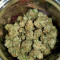 Monster Bruce Banner Cannabis-Samen Kaufen