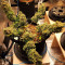 CBD Auto 20:1 (Fast Buds) Cannabis-Samen