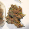C4 Auto (Fast Buds) Cannabis-Samen