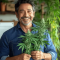 Monster Bruce Banner Auto feminisierte Samen (Monster Genetics)