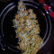 Sour Tangie (Reserva Privada) Cannabis-Samen