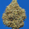 Blue Dream'matic Auto Cannabis-Samen Kaufen