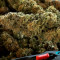 Super Critical Cannabis-Samen Kaufen