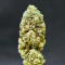 Grandmommy Purple feminisierte Samen (Herbies Seeds)