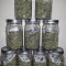 Big Bang Auto Cannabis-Samen Kaufen