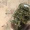 Kaufe Godzilla Cookies Auto Samen feminisiert von Herbies Seeds