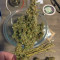 Bruce Banner #3 (BlimBurn Seeds) Cannabis-Samen
