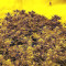 Amnesia (Seedstockers) Cannabis-Samen