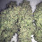 LSD Cannabis-Samen Kaufen