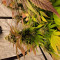 Grandaddy Purple (BlimBurn Seeds) Cannabis-Samen zu verkaufen
