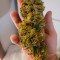 Bruce Banner Auto Cannabis-Samen Kaufen