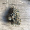 Runtz Muffin feminisierte Samen (Barney's Farm)