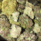 501st OG Regular (Rare Dankness Seeds) Cannabis-Samen