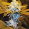 Strawberry Glue (T.H. Seeds) Cannabis-Samen