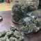 Pink Kush (Barney's Farm) Cannabis-Samen zu verkaufen