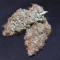 Blackberry Gum Cannabis-Samen Kaufen