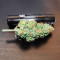 Dozy Whale feminisierte Samen (AlphaFem Seeds)