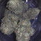 Green Gelato (RQS) Cannabis-Samen zu verkaufen