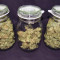 Auto Glueberry O.G. Cannabis-Samen Kaufen