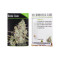 Wonder Skunk (Seedmakers Seeds) Cannabis-Samen